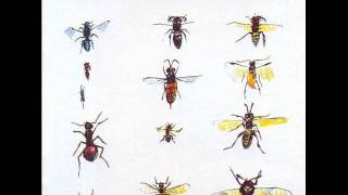 09. I Never Lied To You - Syd Barrett