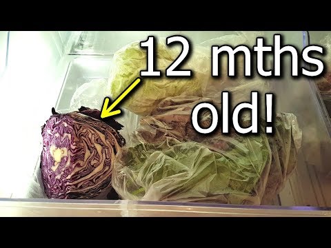 , title : 'One Year Old Cabbage Stored in Crisper Home Grown Long Term Storage & Organic'