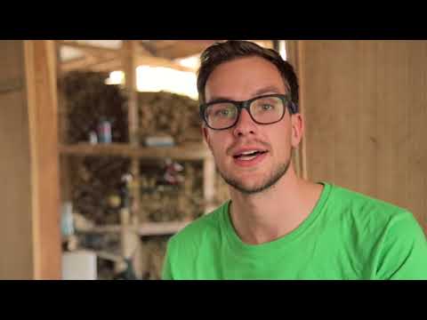 Bambusfahrräder leicht wie Aluminium, hart wie Stahl?