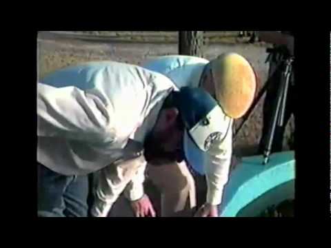 oil spill cleanup using bioremediation