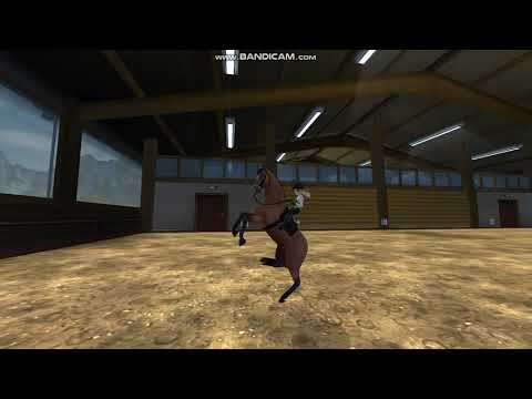 , title : 'Koń Trakeński - W końcu w moich łapkach!   |Star Stable|'