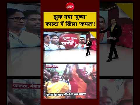 Syed Suhail | Bengal Elections: झुक  गया 'पुष्पा' फाल्टा में खिला 'कमल'! | #suvenduadhikari #falta