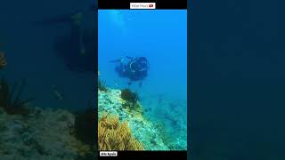 #Shorts #Vietnam #Travel #Nhatrang #Scubadiving - Lặn b&igrave;nh kh&iacute; H&ograve;n Mun - Nha Trang P3