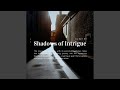 Shadows of Intrigue