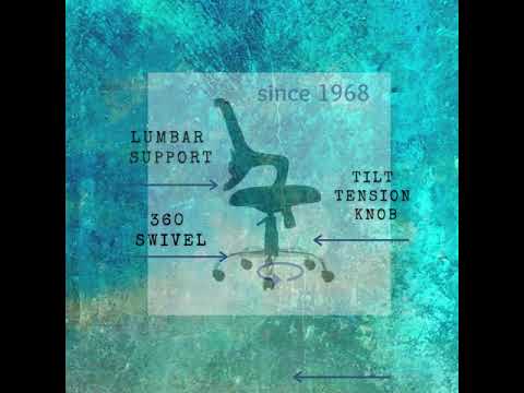 Office Revolving Low Back Mesh Chair 302