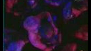 Justin r�siste