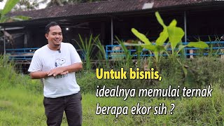 Download lagu Untuk skala bisnis, idealnya memulai ternak kambing domba berapa ekor sih ? mp3