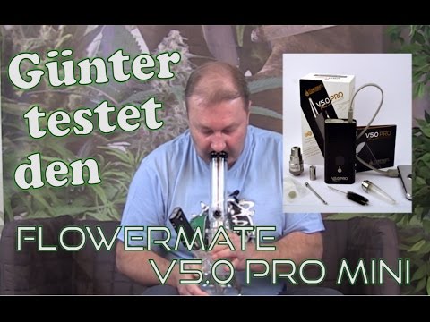 N° 386 Flowermate V5.0 PRO mini macht Günter ordentlich Dampf
