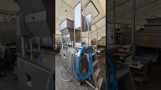 GEA MultiFormer 400 patty forming machine for sale - Image 4 | Machineryline AU GEA MultiFormer 400 patty forming machine | Image 4 - Machineryline