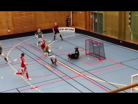 Div 1 -  Zenith vs Backadalen 0-1