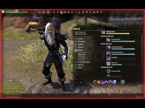 Scalebreaker sorcerer  build and skills changes