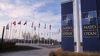 Trump erwägt Austritt der USA aus dem "Papiertiger" NATO