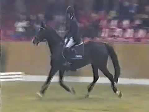 Just do it    Meredith Michaels Beerbaum   Hengstshow