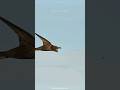 This Bird Can Fly Nonstop for 10 Months