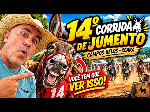 14ª CORRIDA DE JUMENTO DE CAMPOS BELOS - CEARÁ 