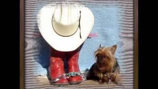 Sunny Cowgirls -- 6 Pack Short