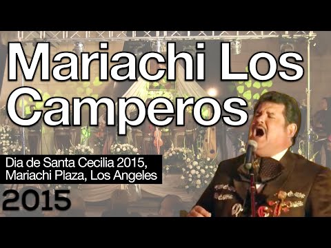 Mariachi Los Camperos, Santa Cecilia 2015