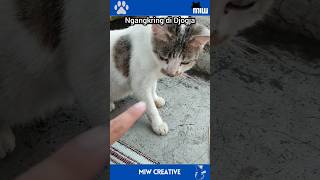 Download lagu ngangkring dengan empus mp3