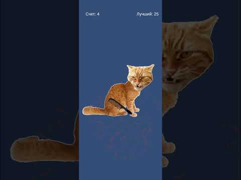 Brush My Cat video thumbnail