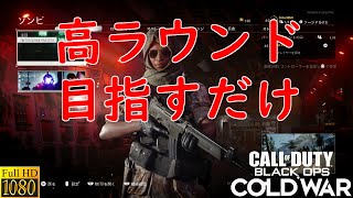 【COD CW】ゾンビモードで遊ぶ(概要欄参照)