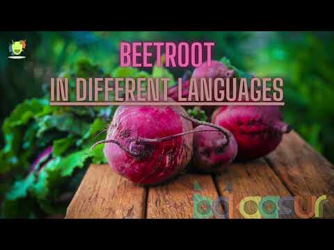 Beetroot In Different Languages / What do you call Beetroot in different languages ?