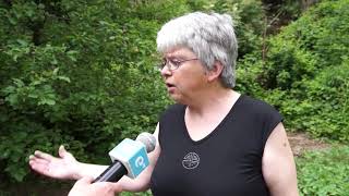 Боклуци и отпадни води затлачиха двора на смолянчанка