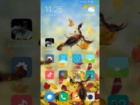 Scorpion in phone prank Video