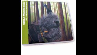 SAS - Loose Girl (electronic drunk demo version)