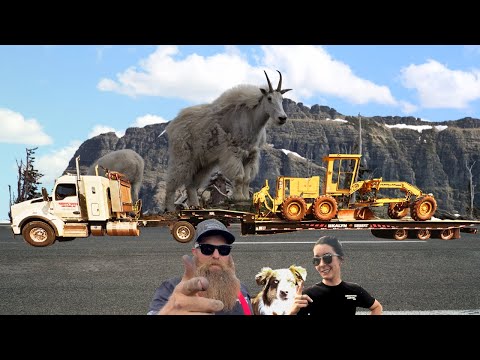 Quest For The BEST TOWING And RECOVERY Trailer In The World!!!