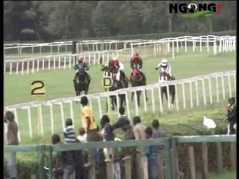 THE STEWARDS CUP 2014