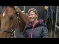 Groom: "Ik voel me naast het paard veiliger dan erop"