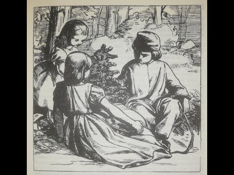 The Fir Tree | Hans Christian Andersen [READING]