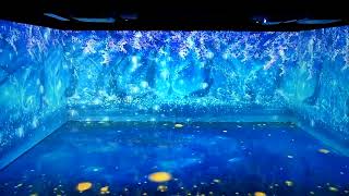 Immersive Interactive Solution – Demo