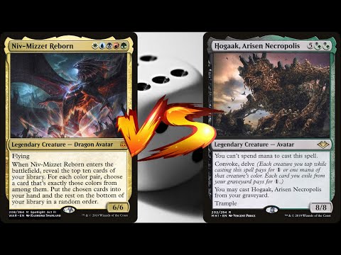 niv mizzet reborn vs hogaak - MTG EDH Duel Commander
