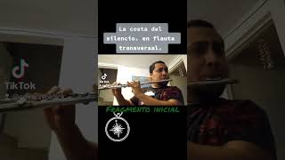La costa del silencio en flauta