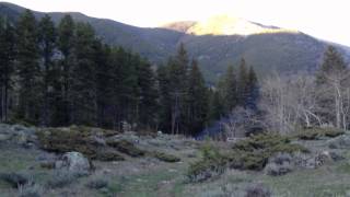 South of Red Lodge, MT.