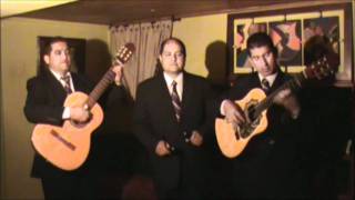 Video de Trio Ensoñación