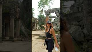 Did These Giant Trees Really Grow On a Temple? #temple #mystery #viral #nature  #god #supernatural