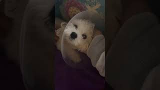 Jax update Jax update