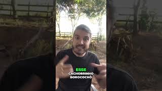 SE TODOS FIZESSEM ISTO ELES NÃO MORRERIAM