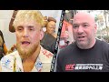 JAKE PAUL "THESE GUYS ARE OWNED BY DANA WHITE!" GOES OFF ON UFC FIGHTER PAY & TELLS OFF DANA WHITE