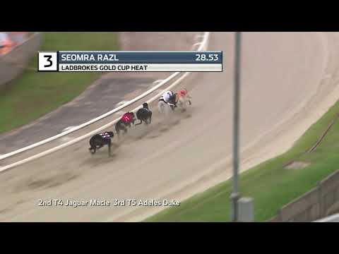 2021 LADBROKES GOLD CUP - HEAT 2 - T3 SEOMRA RAZL