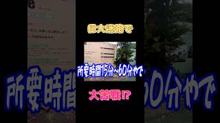 巨大迷路に挑戦💪【ちびげらもん切り抜き】#shorts #ちびげらもん #旅行vlog #ハウステンボス #長崎 #切り抜き