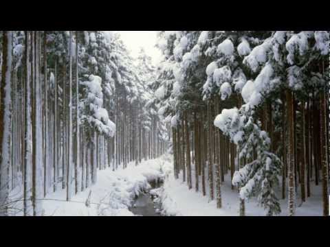 Fiona Joy Hawkins - Winter Cold