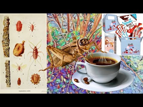 Schellack, Schokolade und Kaffee