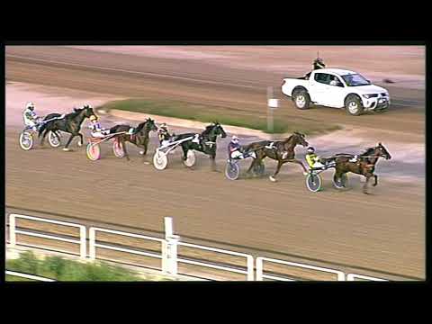 Trotto 21/08/2020 - 1ª corsa