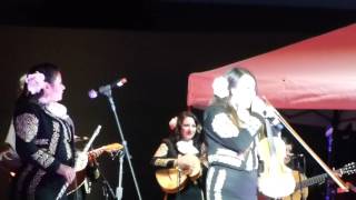 00015 Mariach Divas Mariachi Spectacular