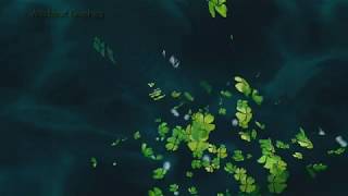 Wildworld - Spinning Axis (Thanet by Blimp Mix)