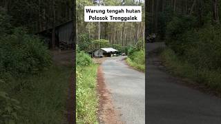 Download lagu Warung nasi tengah hutan di pelosok  trenggalek #gudangkuliner #warung #tengahhutan #vlog mp3