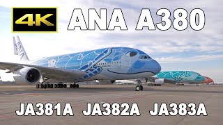 All Nippon Airways | FS24 Stable 4K & Dev ✅ video